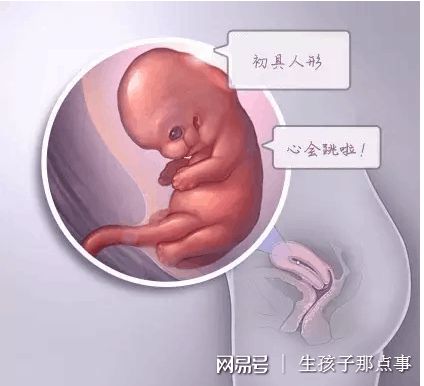 苏主任